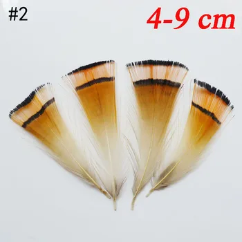 200Pcs 4-9cm Naturale Pui Pheasnt Plumas Pene Pentru Masca de Îmbrăcăminte, articole pentru acoperirea capului Decorare DIY Artizanat Bijuterii Accesorii Pene