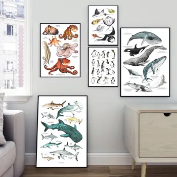Desene Animate Poster Razele Caracatiță Rechin Balena Animal Marin Pepinieră Arta Panza De Imprimare Educație Perete Tablou Pictura Copil De Cameră Decor